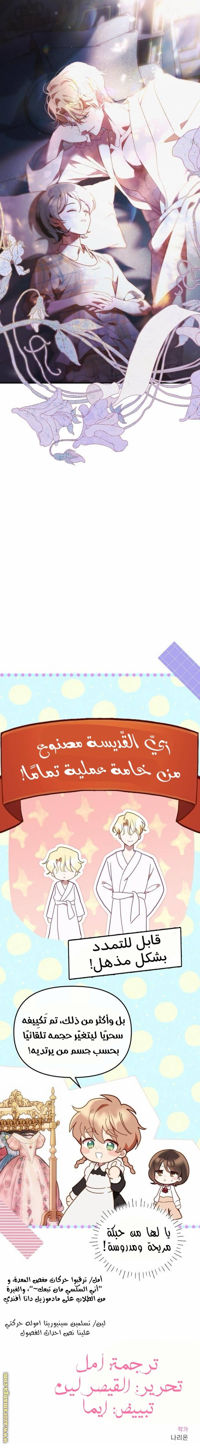 الصفحة 52