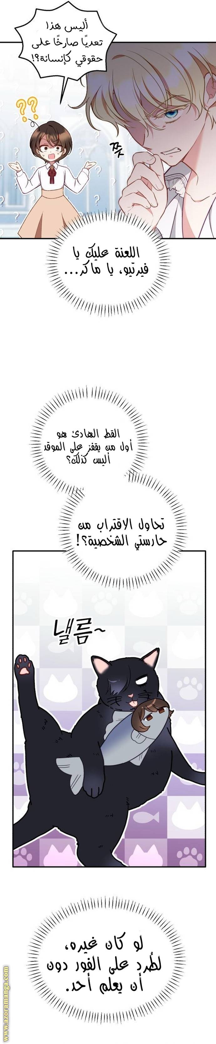 الصفحة 26