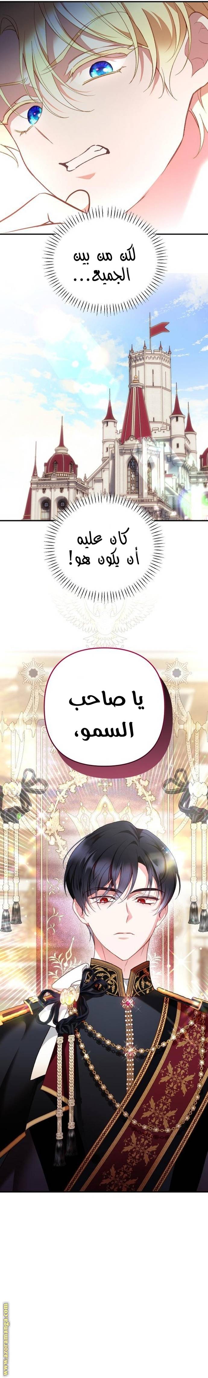 الصفحة 27