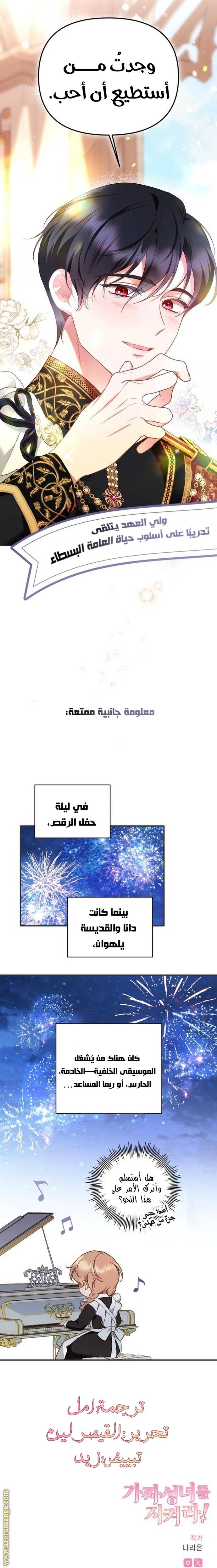 الصفحة 29