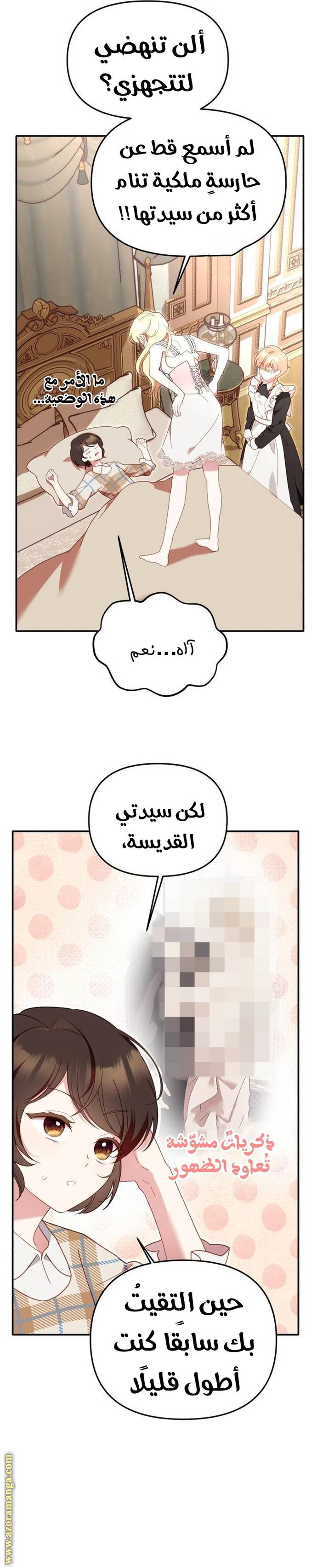 الصفحة 3