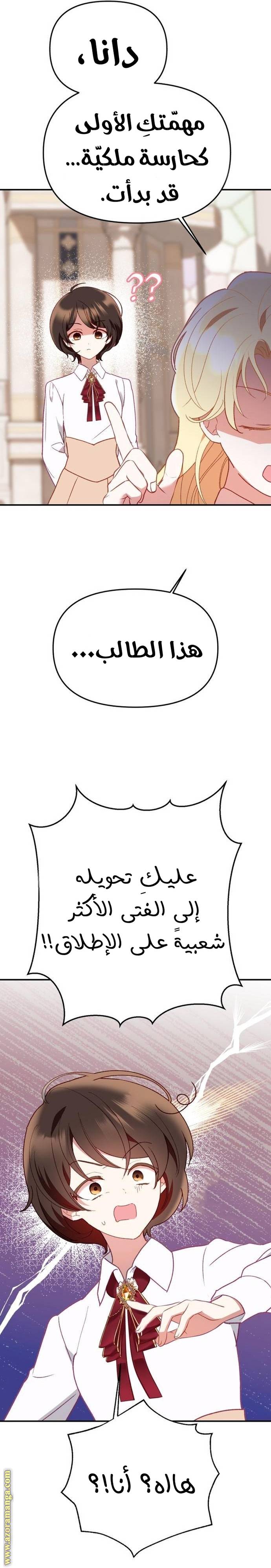 الصفحة 25