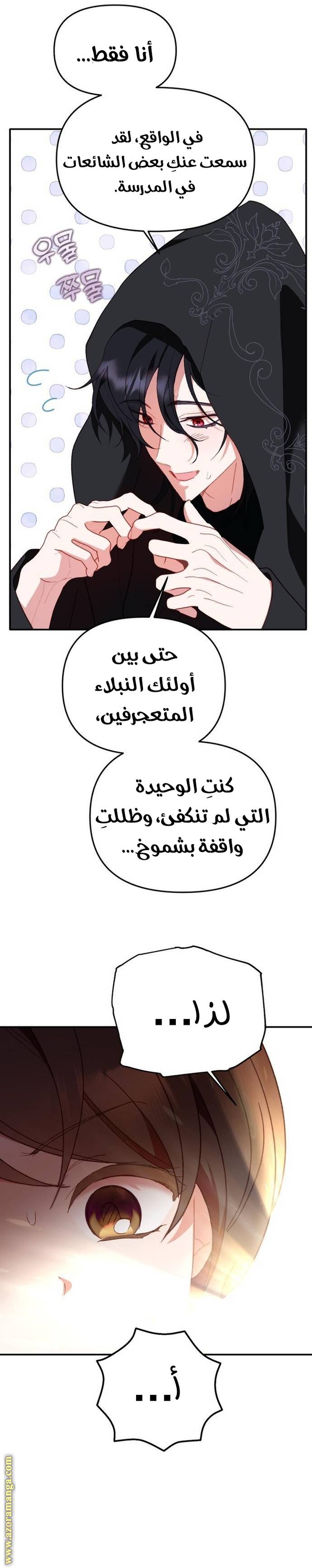 الصفحة 27