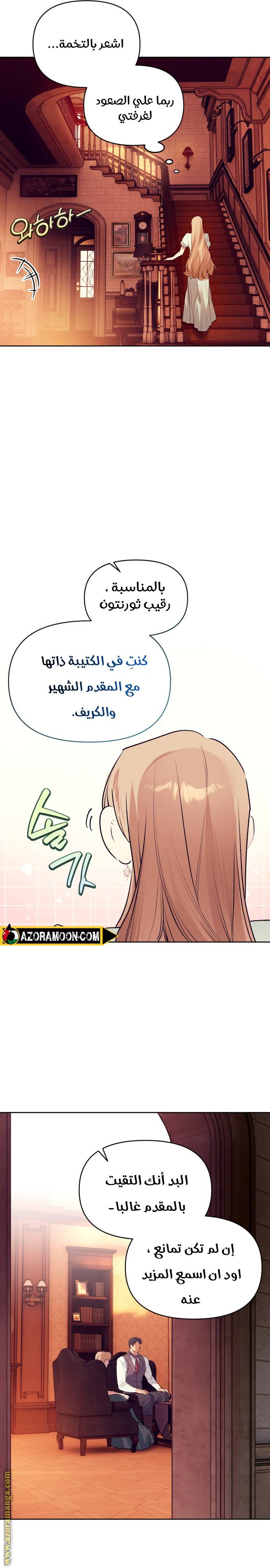 الصفحة 17
