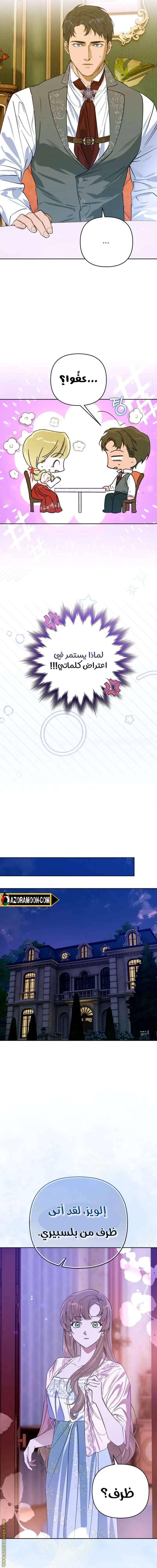 الصفحة 13