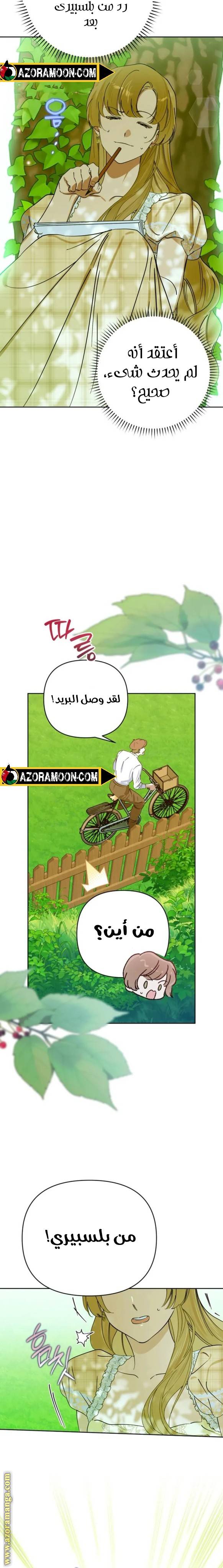 الصفحة 17