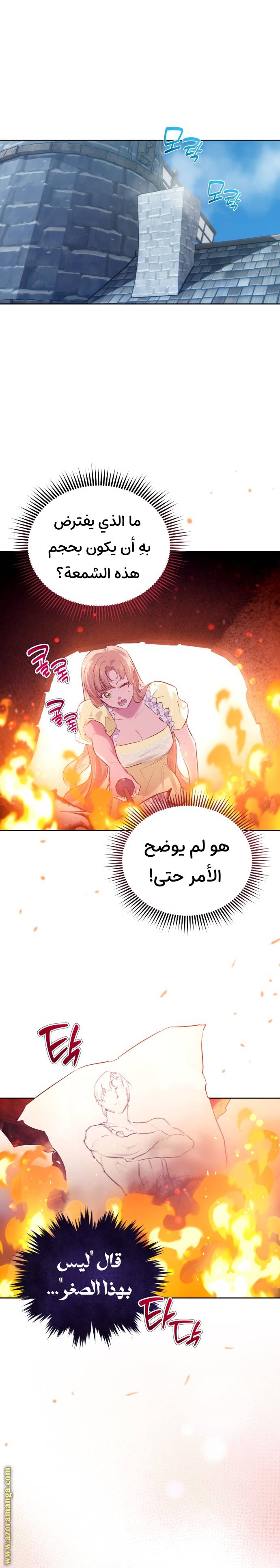 الصفحة 13