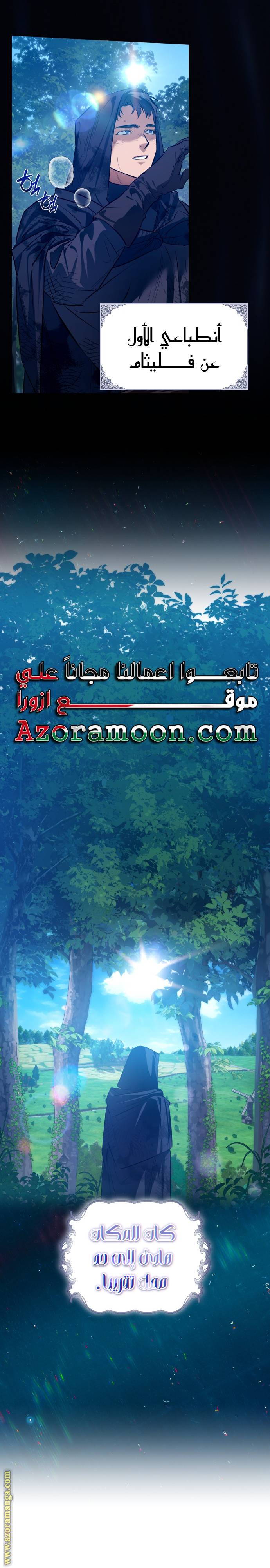 الصفحة 26