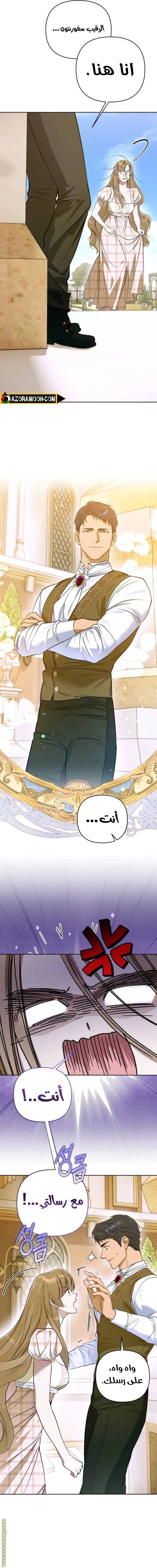 الصفحة 3