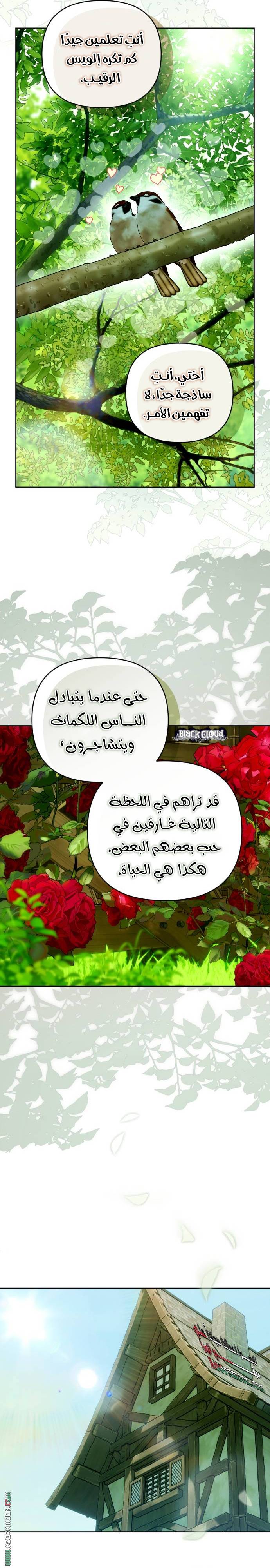 الصفحة 7
