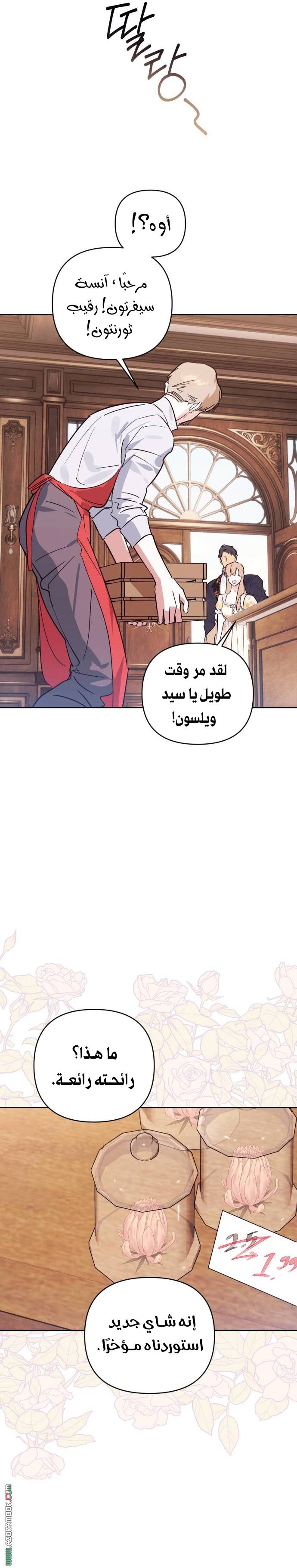 الصفحة 17