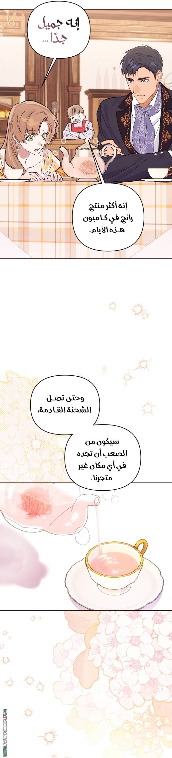 الصفحة 19