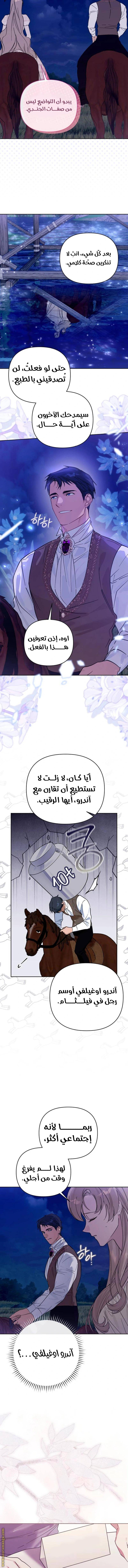 الصفحة 14