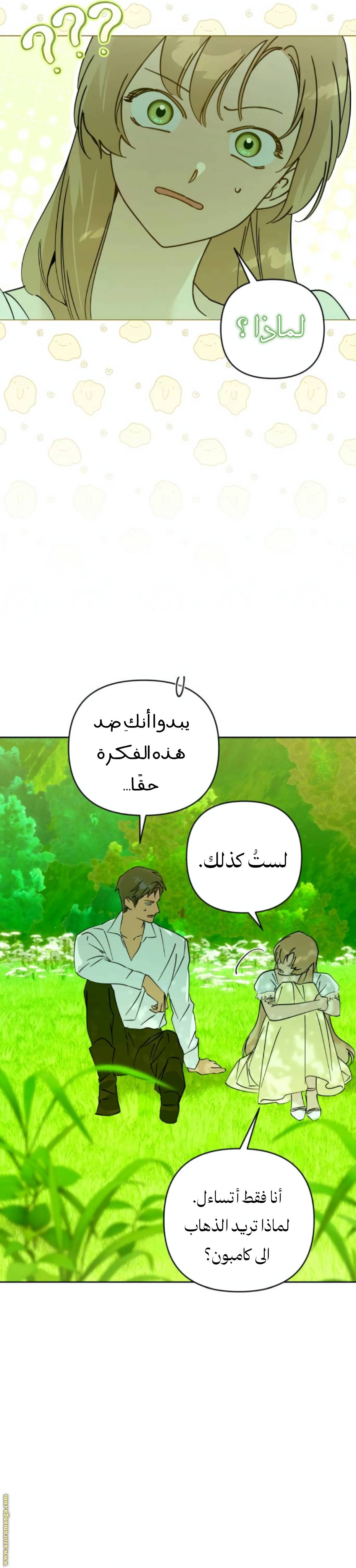 الصفحة 13