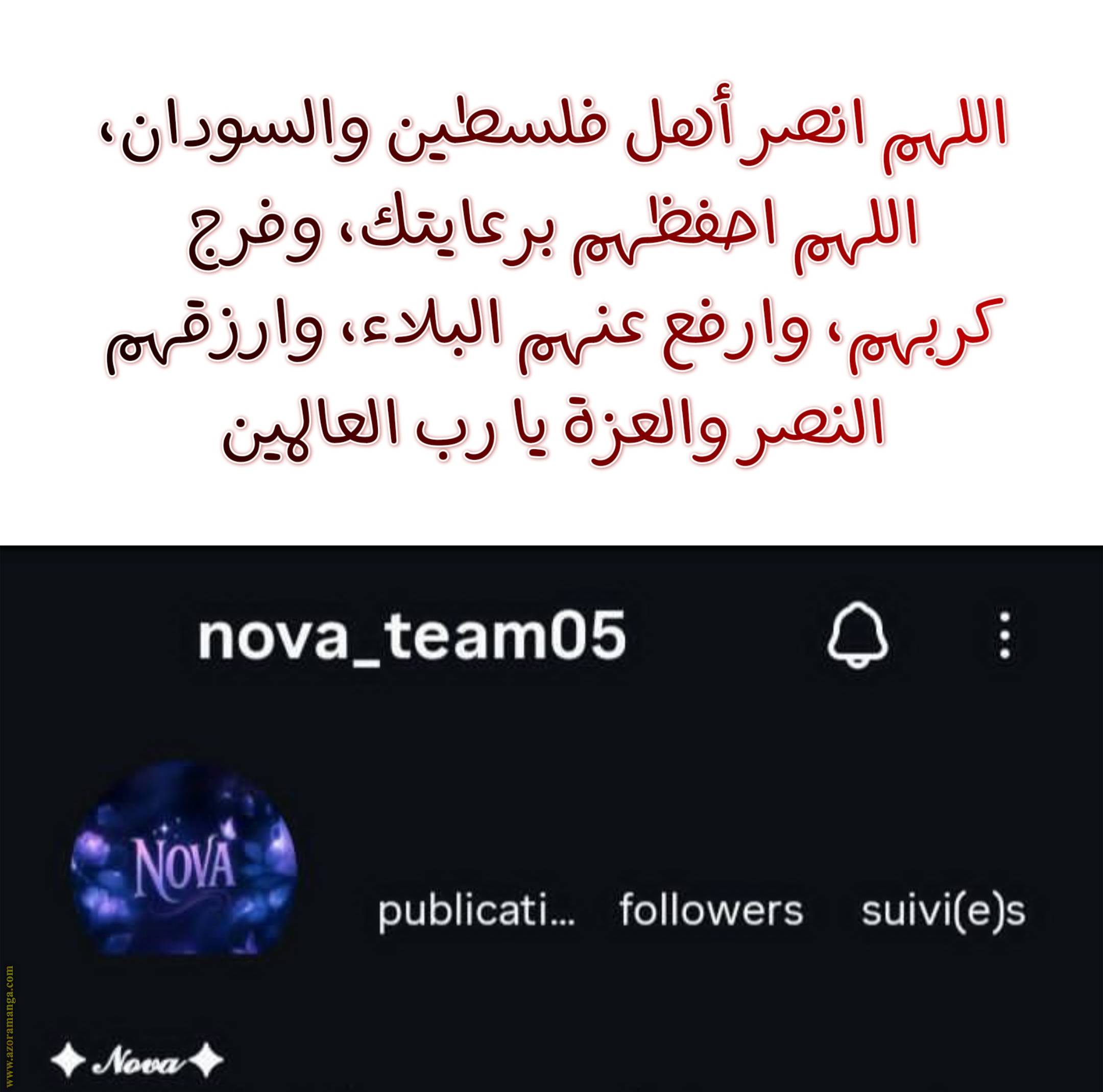 الصفحة 14