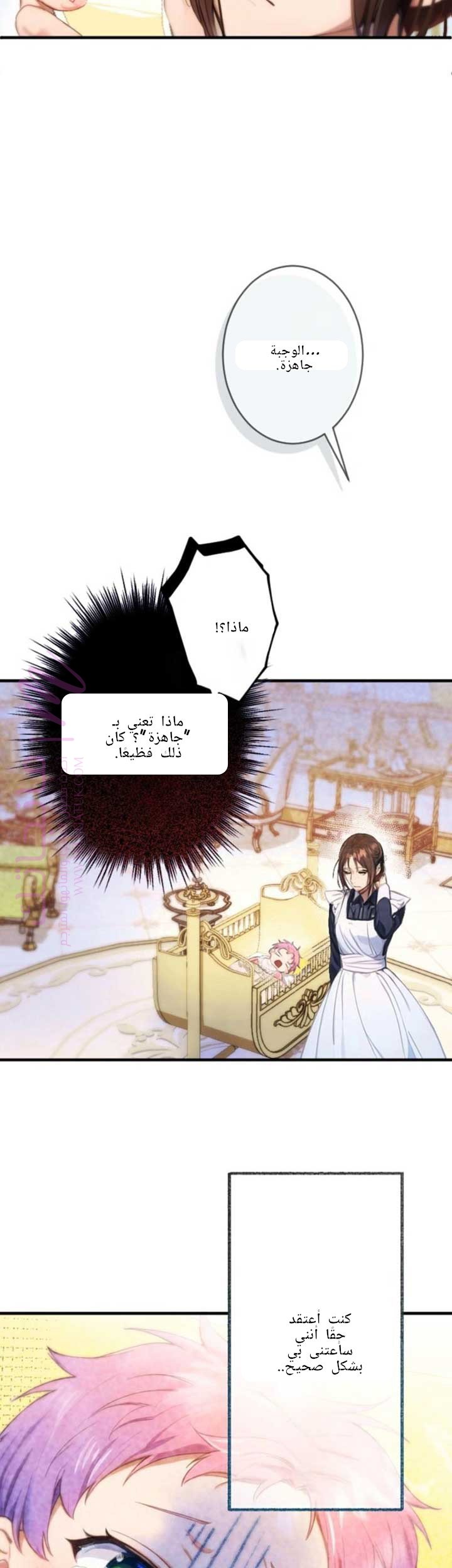 الصفحة 24