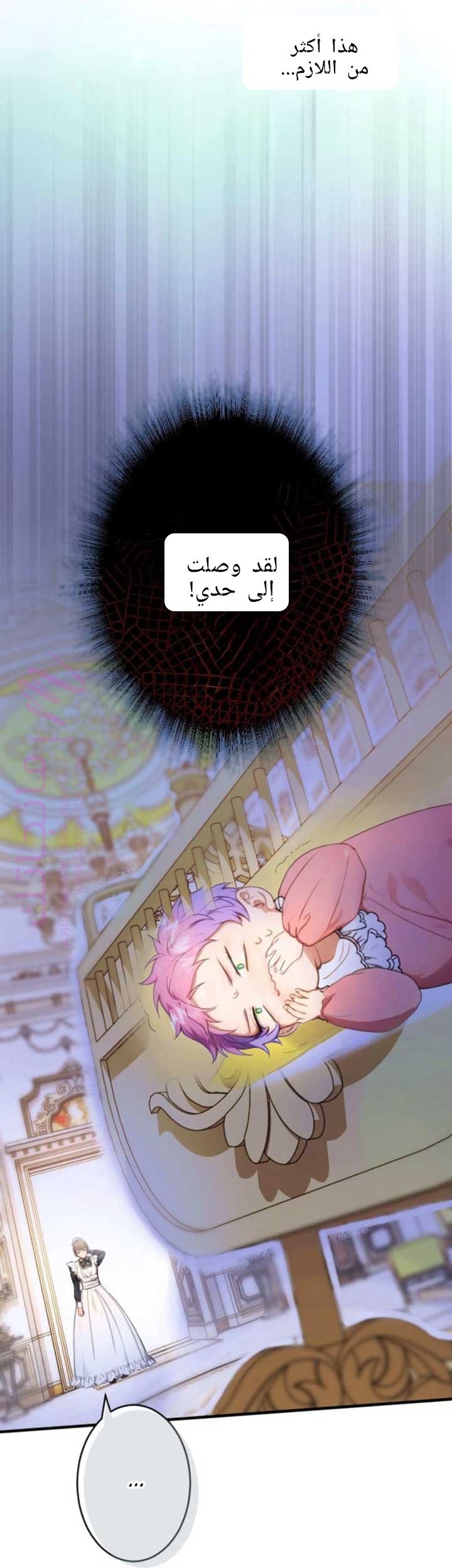 الصفحة 25