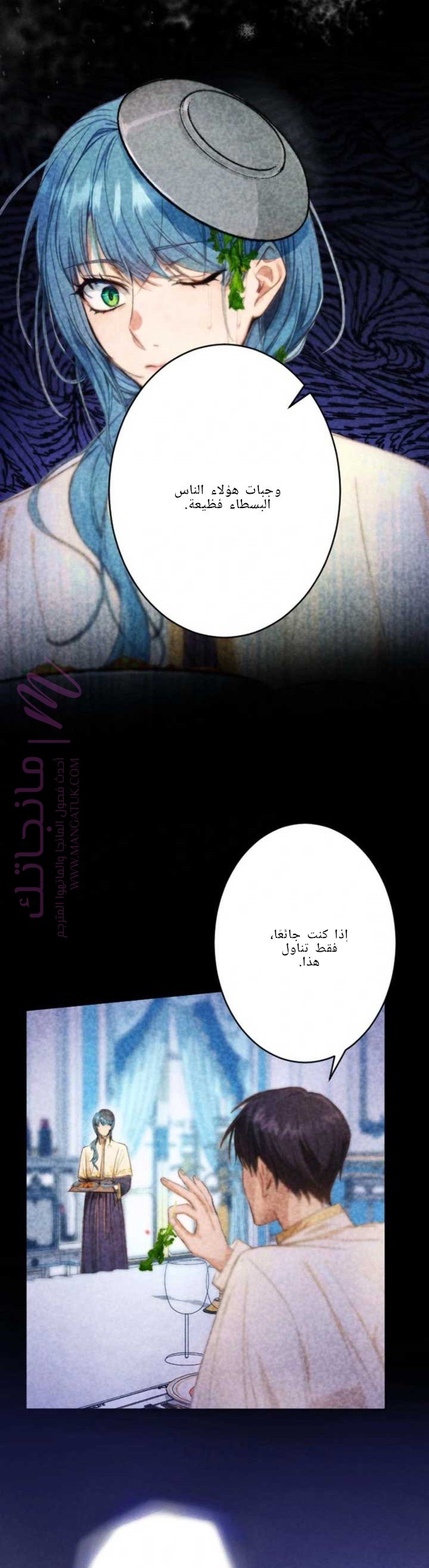 الصفحة 17