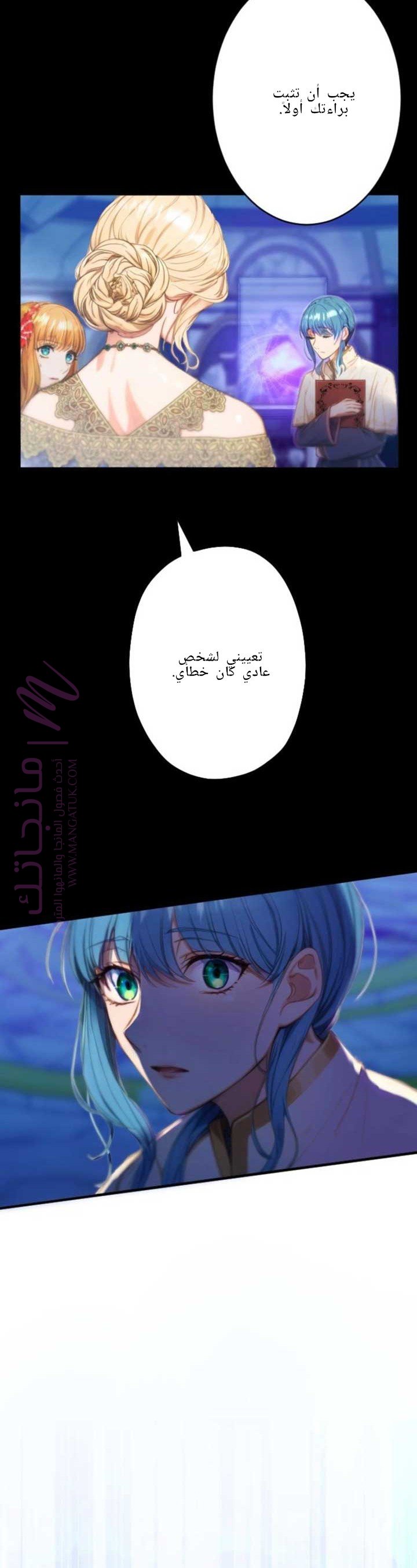 الصفحة 29