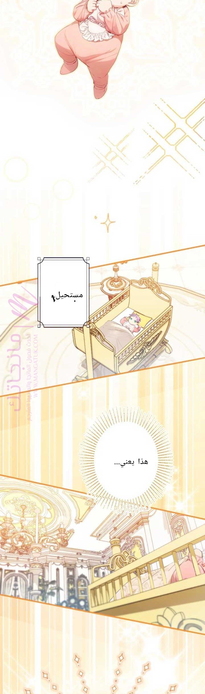 الصفحة 46