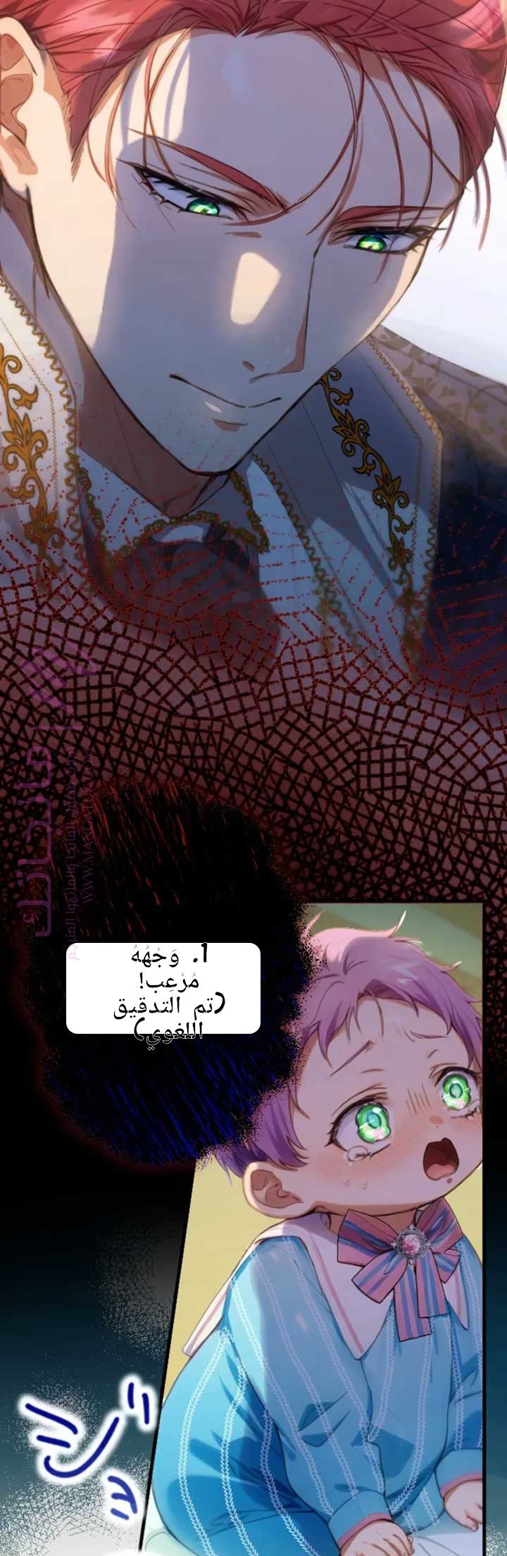 الصفحة 27