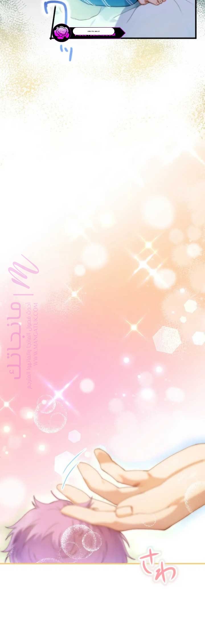 الصفحة 29