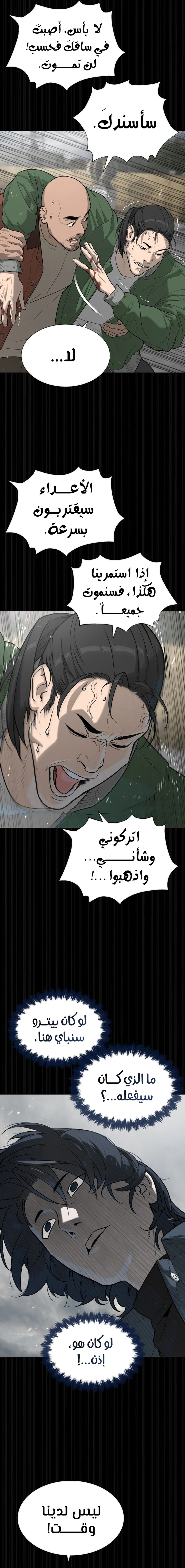 الصفحة 17