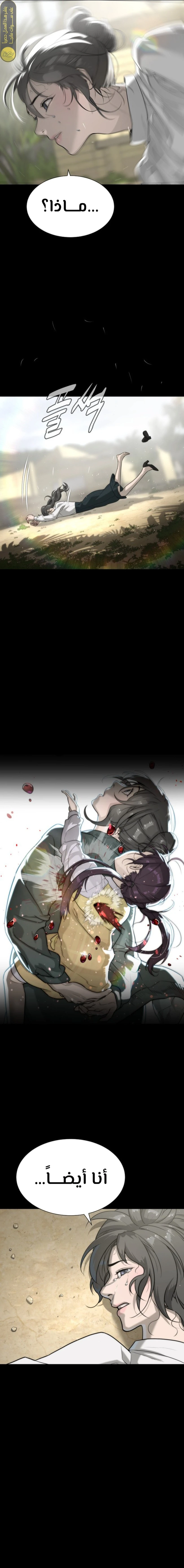 الصفحة 14