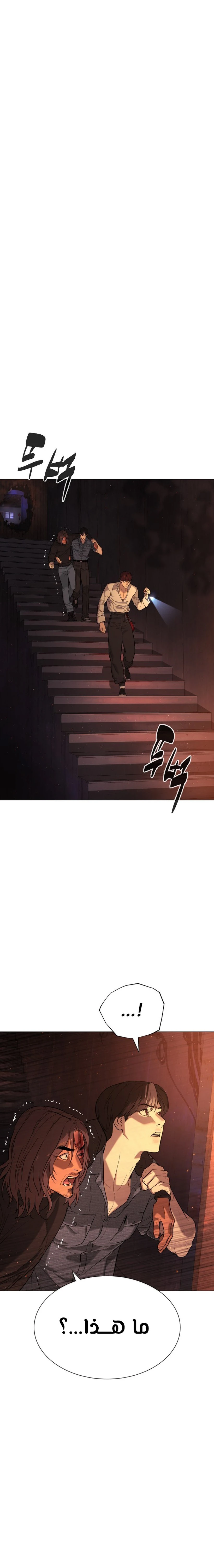 الصفحة 19