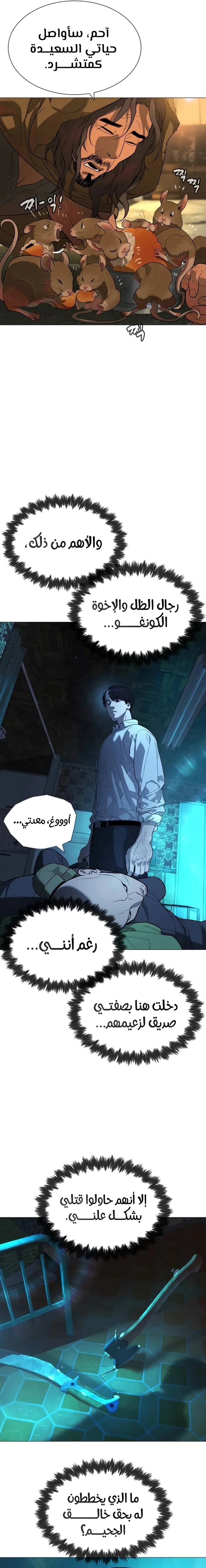 الصفحة 12