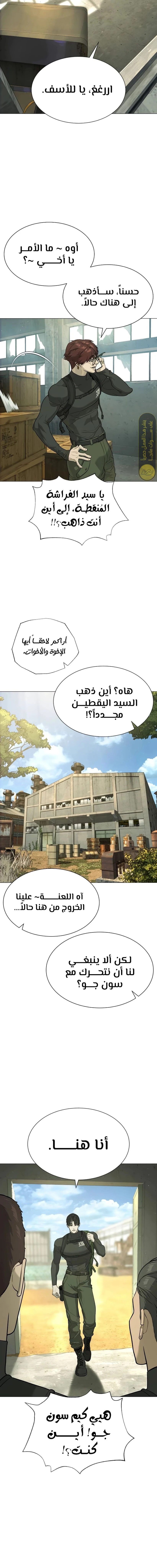الصفحة 17