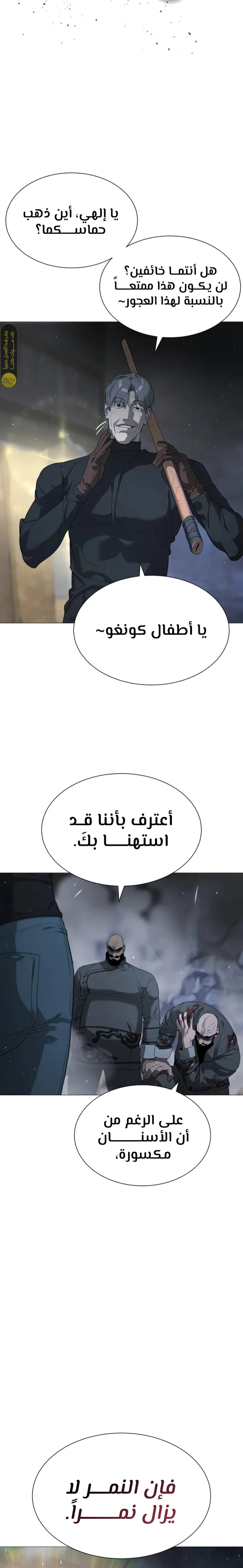 الصفحة 11