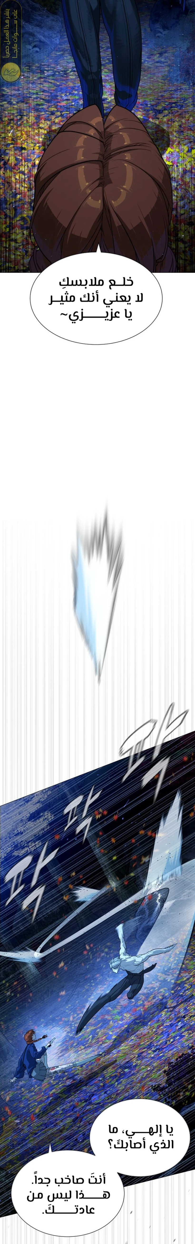الصفحة 41