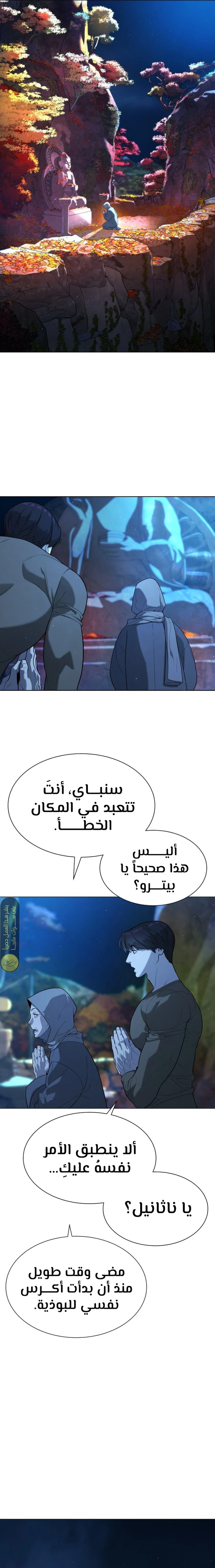 الصفحة 17