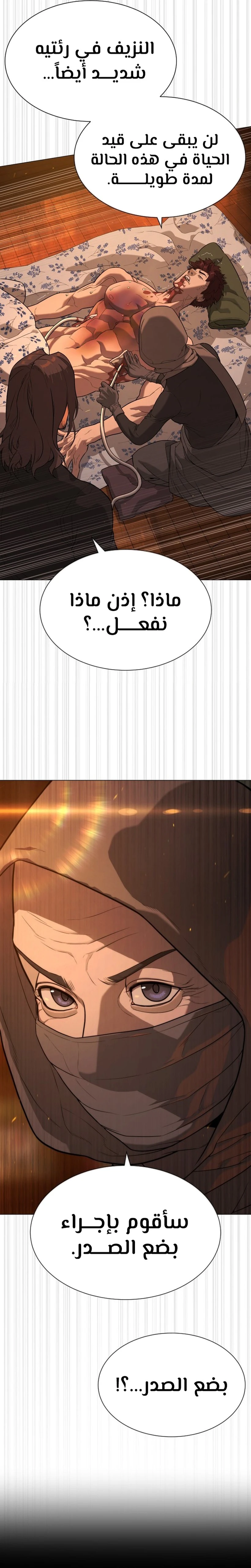 الصفحة 31