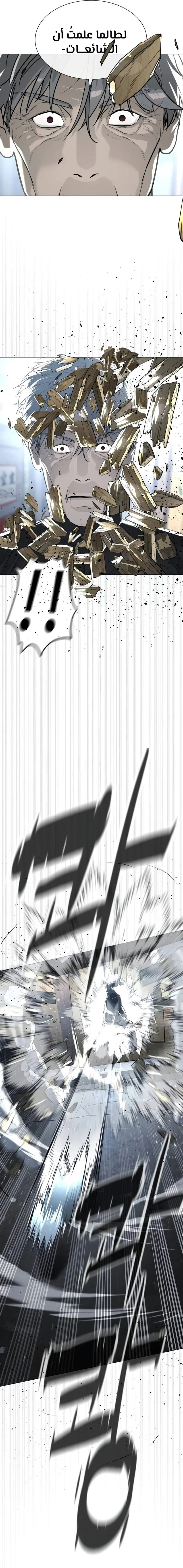 الصفحة 29
