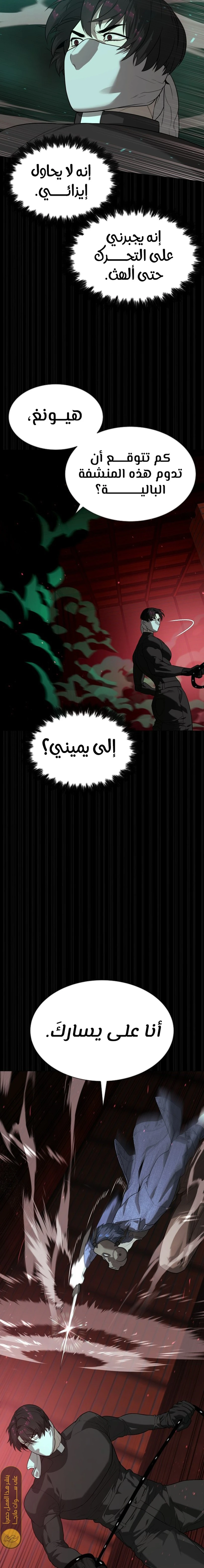 الصفحة 17