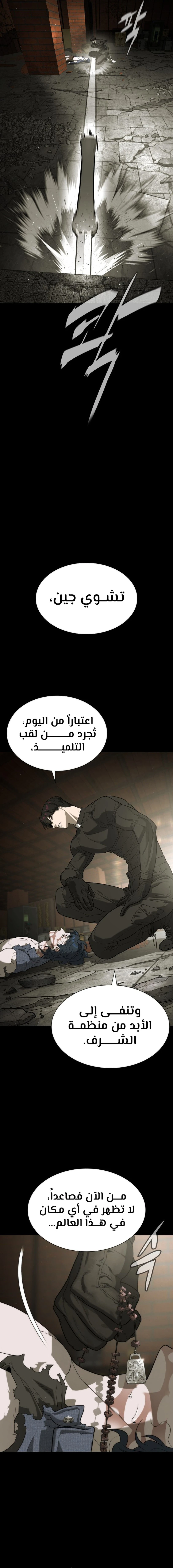الصفحة 38