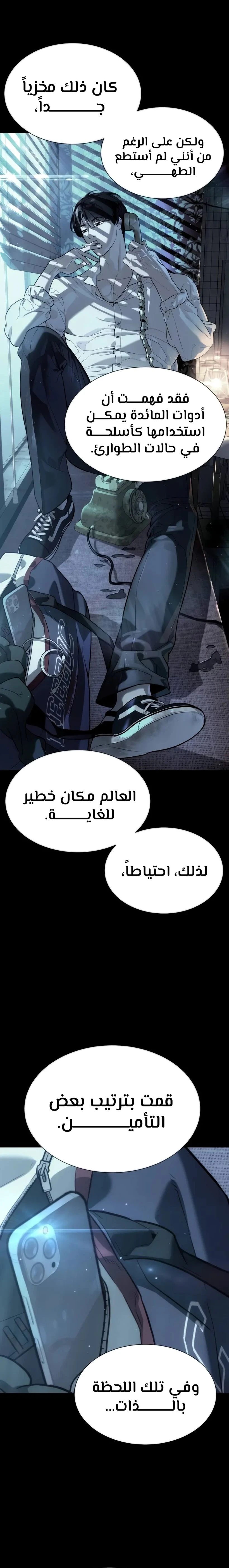 الصفحة 17