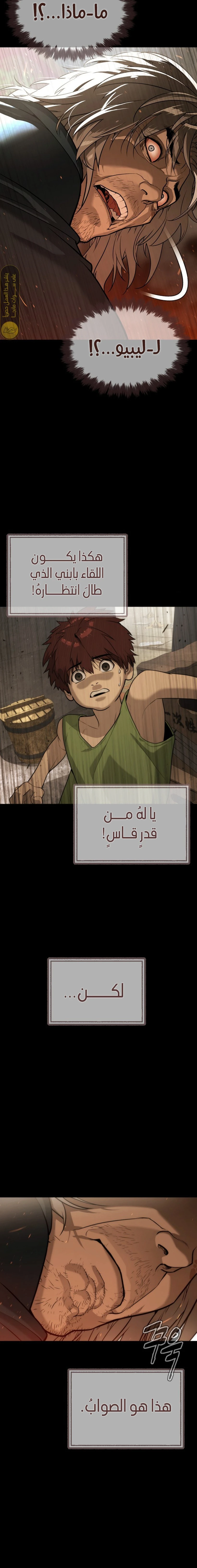 الصفحة 17
