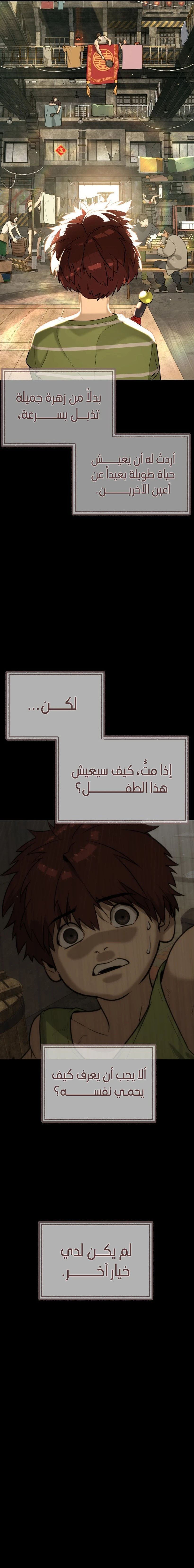الصفحة 21