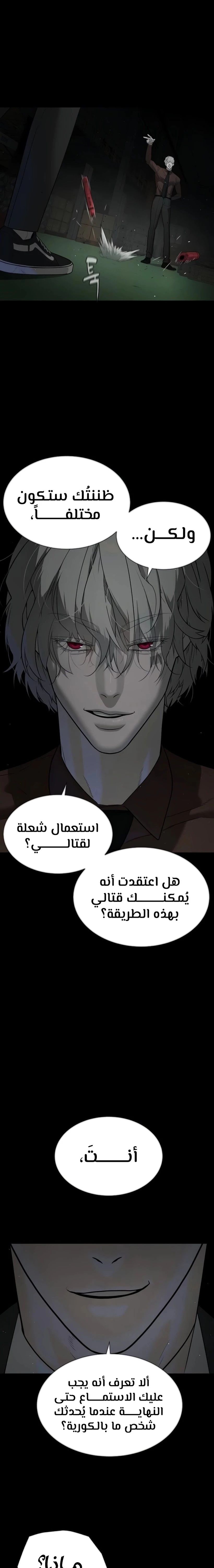 الصفحة 17