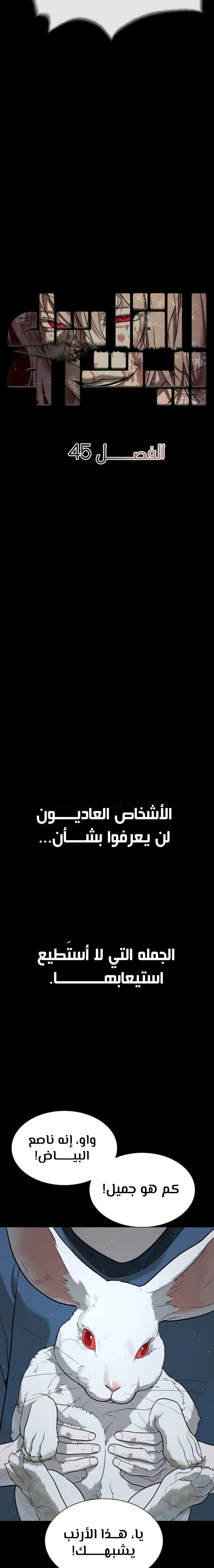 الصفحة 27