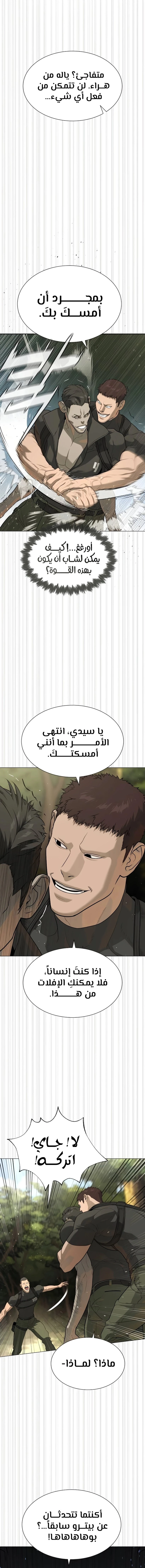 الصفحة 13