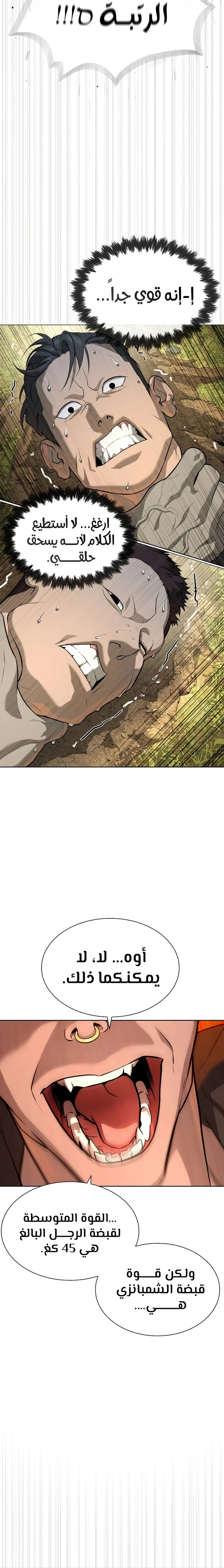 الصفحة 15