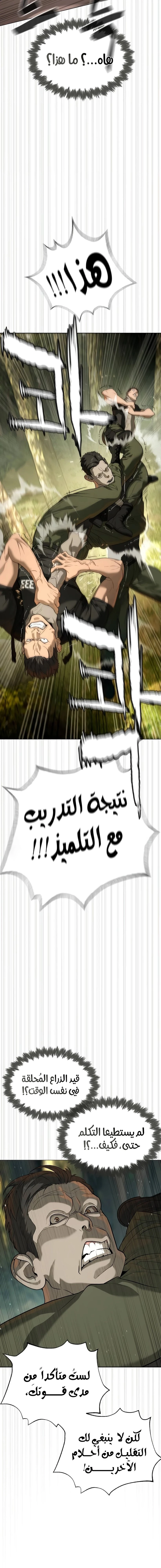 الصفحة 17