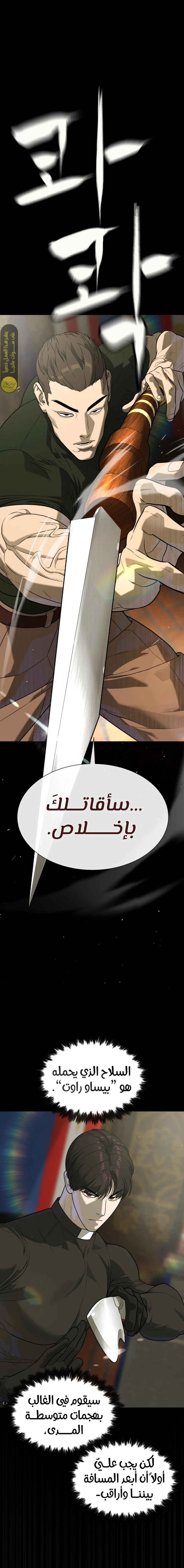 الصفحة 13