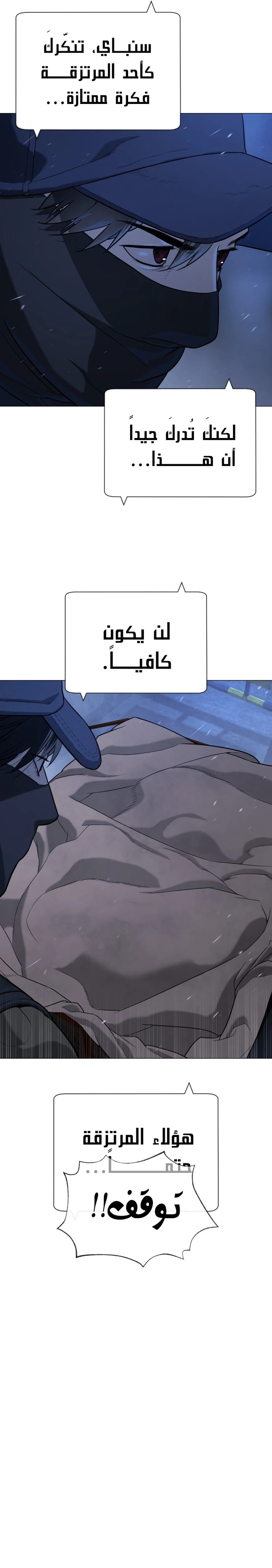 الصفحة 17