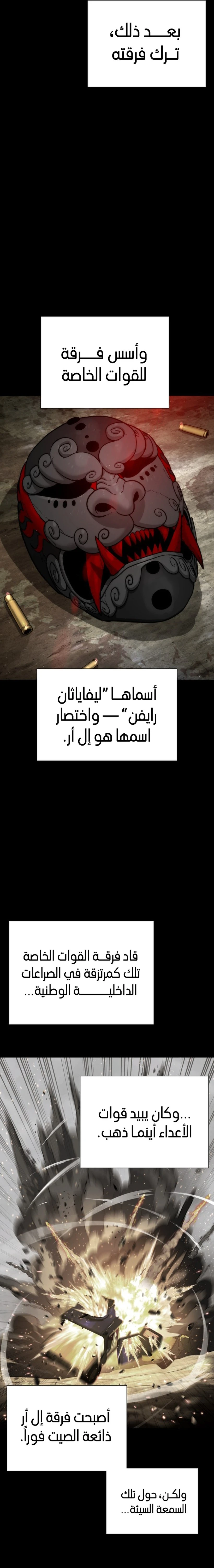 الصفحة 17