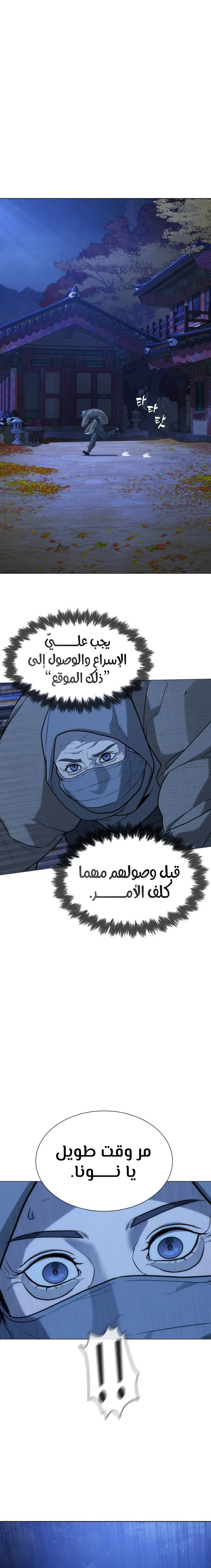 الصفحة 17